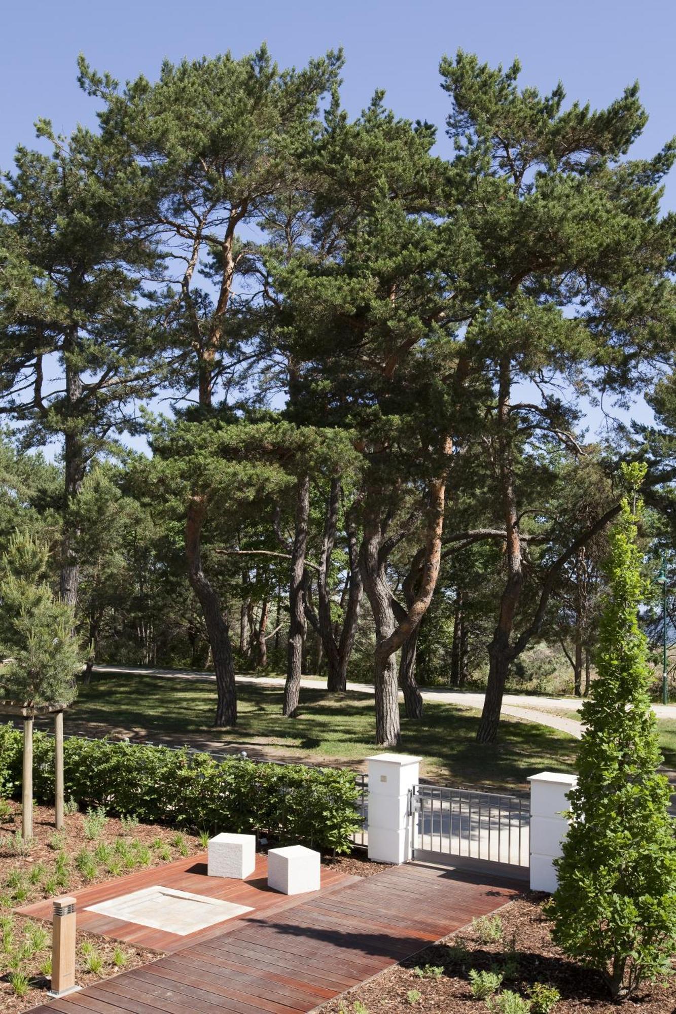Steigenberger Grandhotel & Spa Heringsdorf Εξωτερικό φωτογραφία Pines in the park